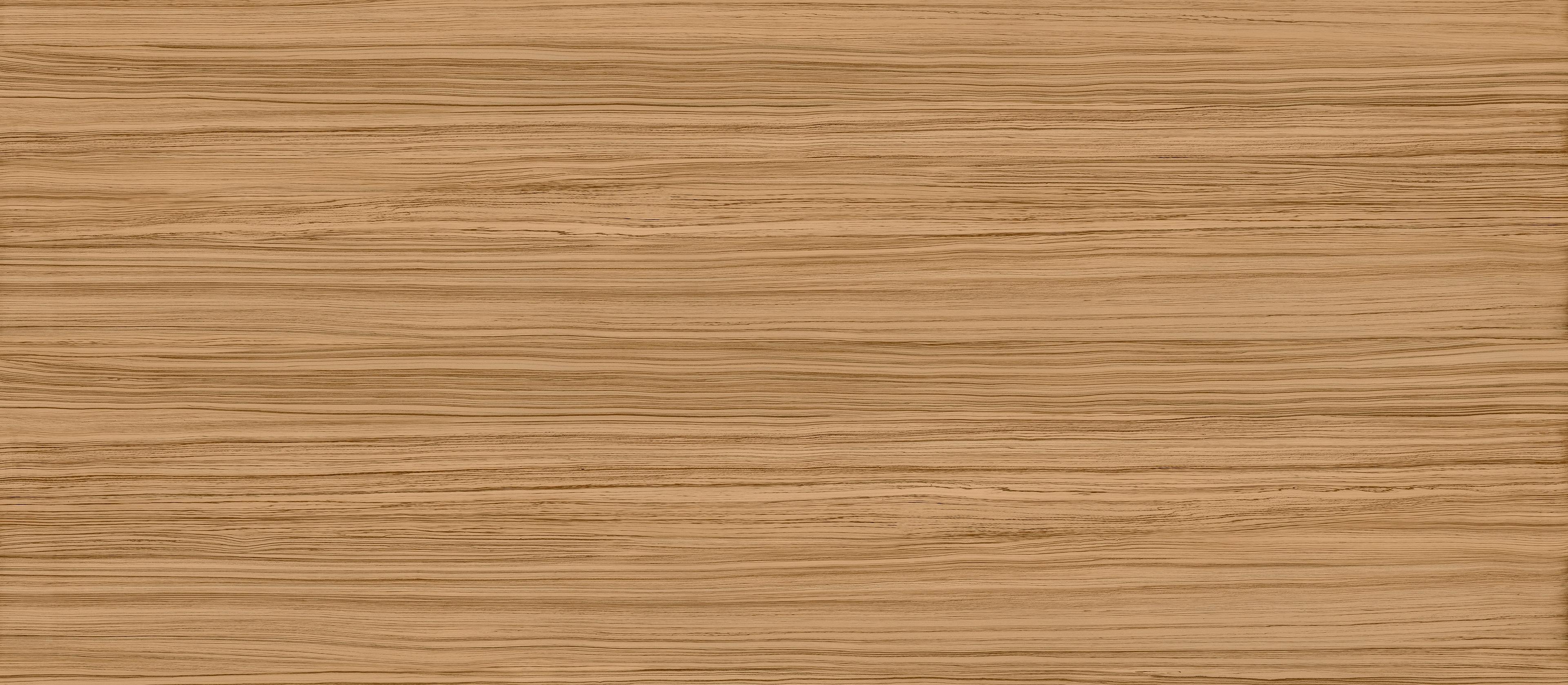 Log Anthology_Zebrano